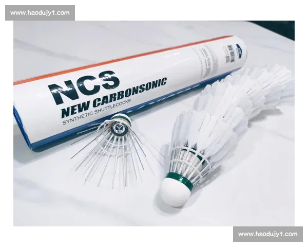 羽毛球价格两年翻倍！碳音球成训练刚需遭抢购断货