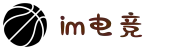 IM(股份有限公司)电竞-电子竞技平台